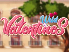 Wild Valentines game cover