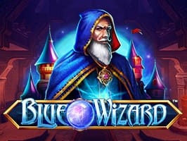 Blue Wizard game cover
