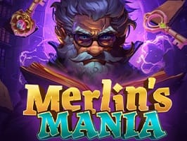 Merlins Mania game cover