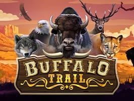 Buffalo Trail game cover